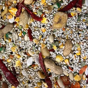 Parrots & Company Premium Parrot Blend