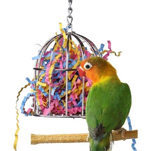 Treat Cage, Stainless Steel