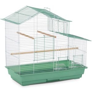 Cockatiel House Cage