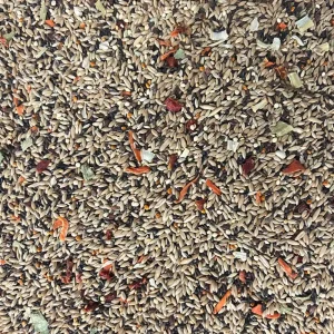 Parrots & Company Premium Canary Blend