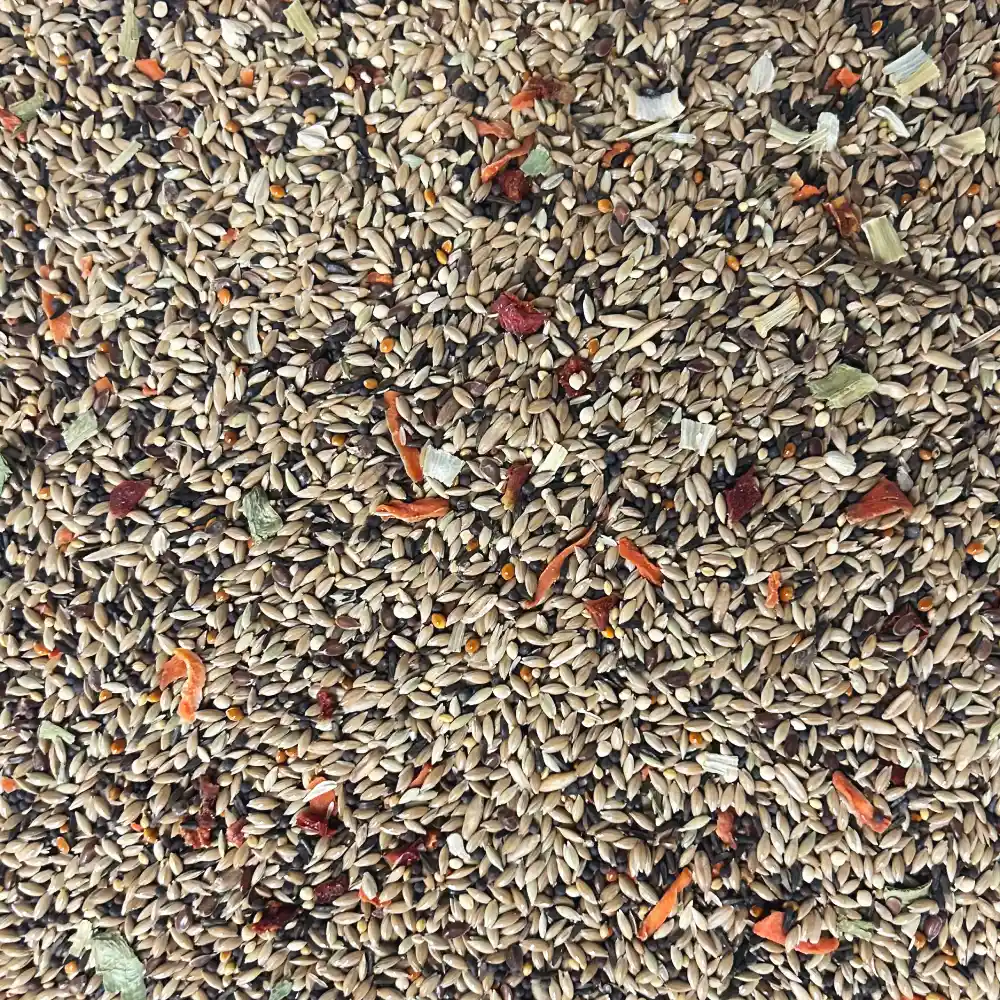 Parrots & Company Premium Canary Blend