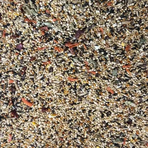 Parrots & Company Premium Finch Blend