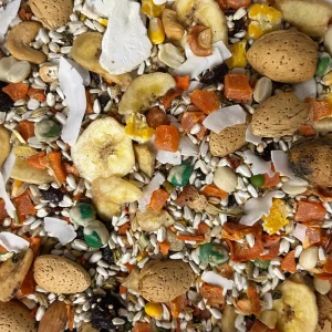 Parrots & Company Premium African Grey Blend