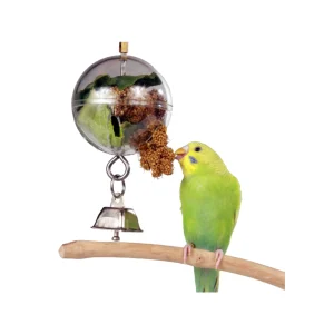 Foraging Ball - Millet Holder