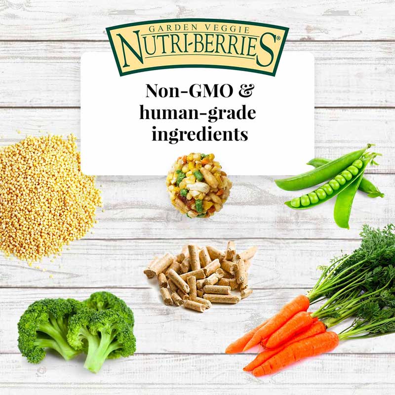 Lafeber Gourmet Nutri-Berries, Garden Veggie - Image 3