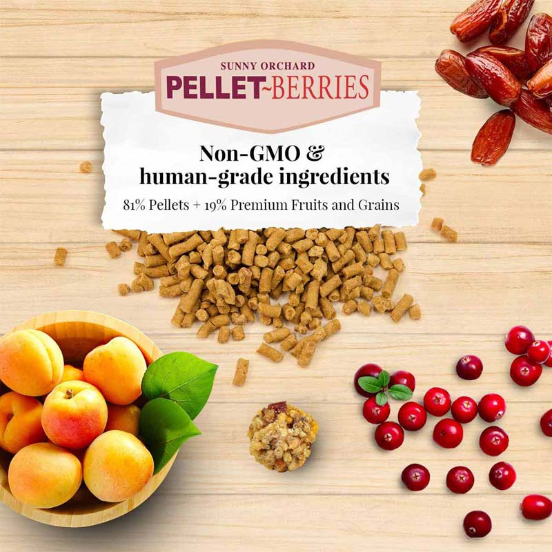 Lafeber Pellet Berries, Parrot - Image 3