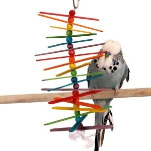 Popsicle Sticks