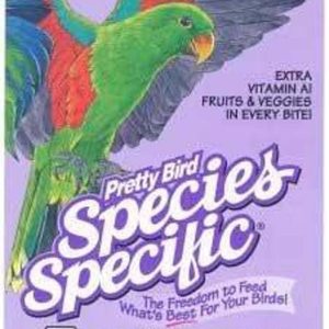 Pretty Bird Eclectus Special