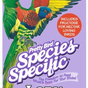 Pretty Bird Lory Special