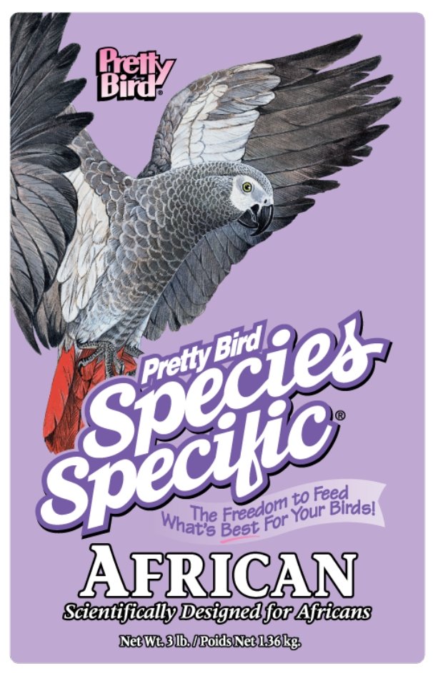 Pretty Bird African Special - Image 2