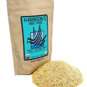 Adult Lifetime Mash Bird Food 1