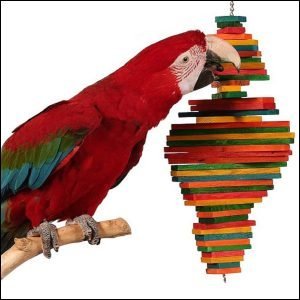 Cocotte, Large