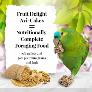 Fruit Delight Large Bird 2