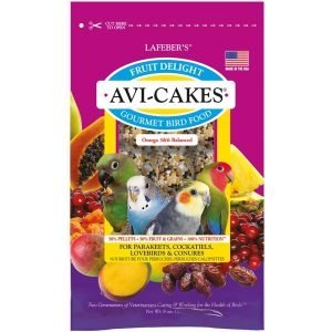 28-3-Fruit Delight Small Bird