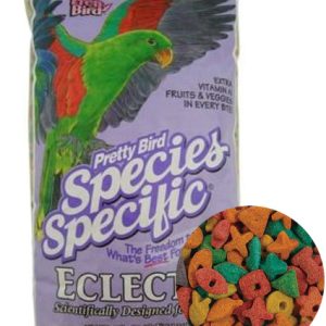 Pretty Bird Eclectus Special