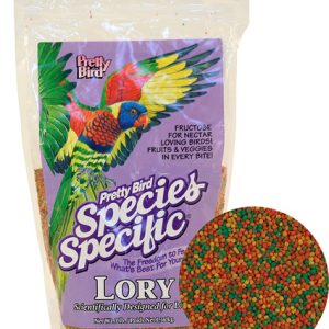 Pretty Bird Lory Special