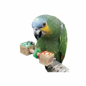 birds foot toys
