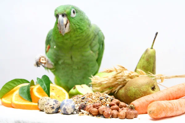 Post Parrot Eating